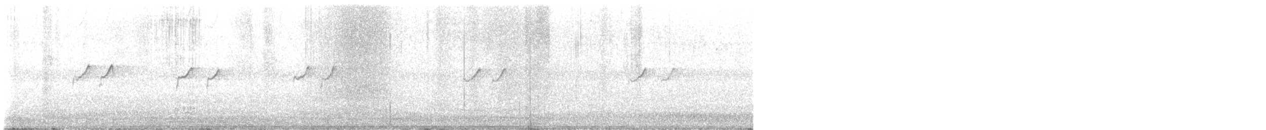 Solitary Sandpiper - ML644471171