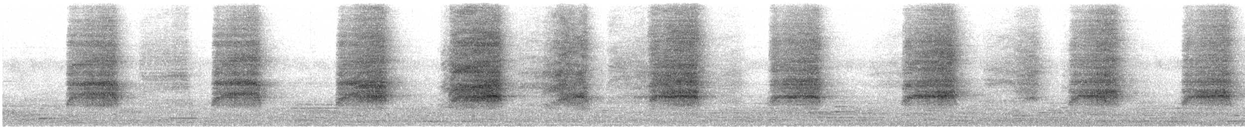 Amerikaschleiereule - ML644471708