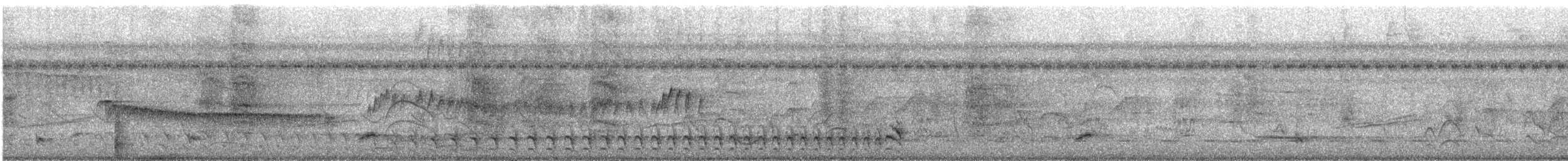 Сорокуш смугастий - ML644472535