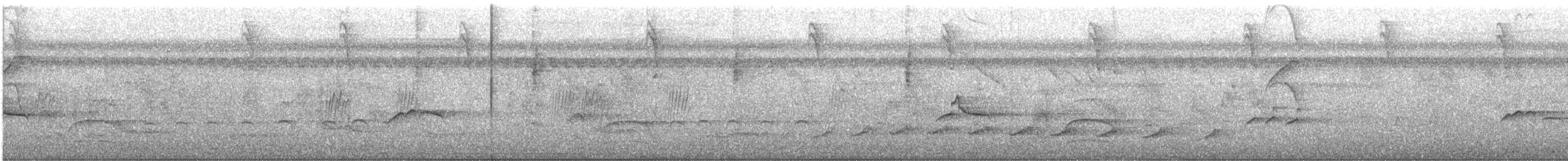 Grimpar cacao - ML644472550