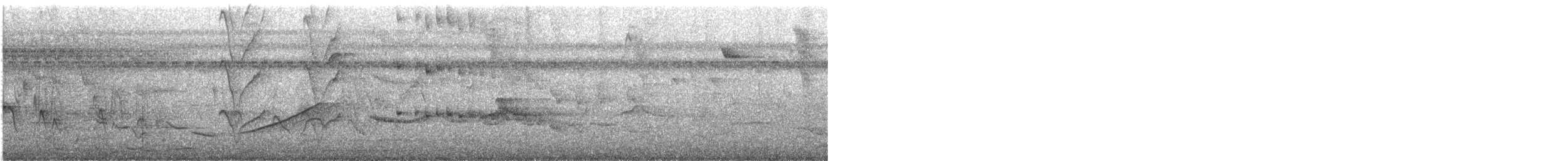 Бекард іржастий - ML644472565