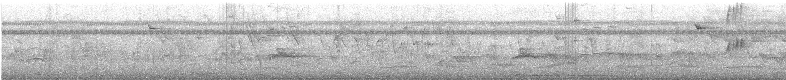 White-winged Becard - ML644472602