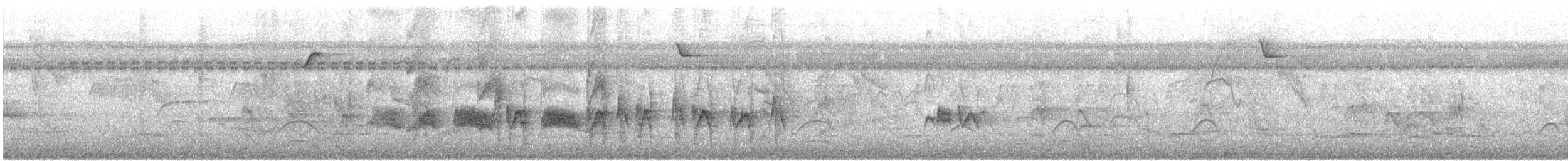 Yellow-bellied Elaenia - ML644472657