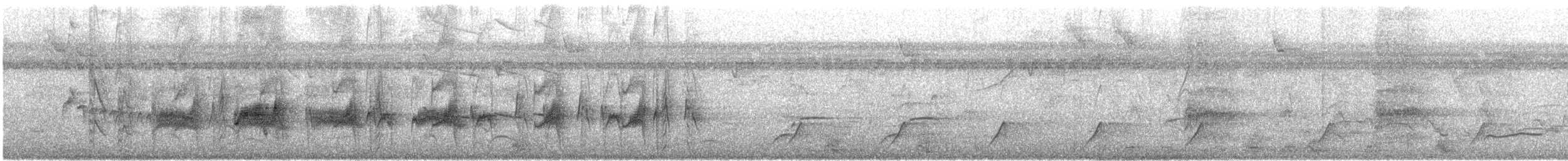 Yellow-bellied Elaenia - ML644472658