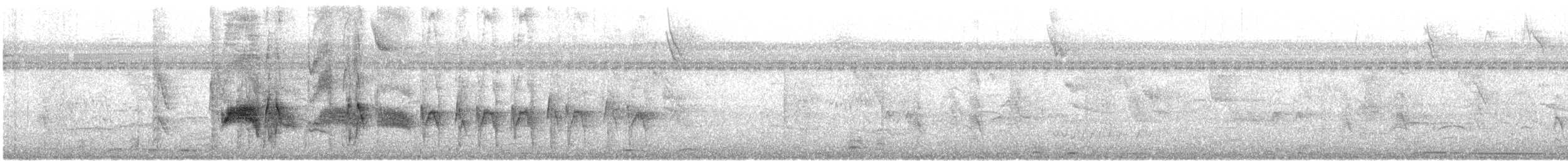 Yellow-bellied Elaenia - ML644472659