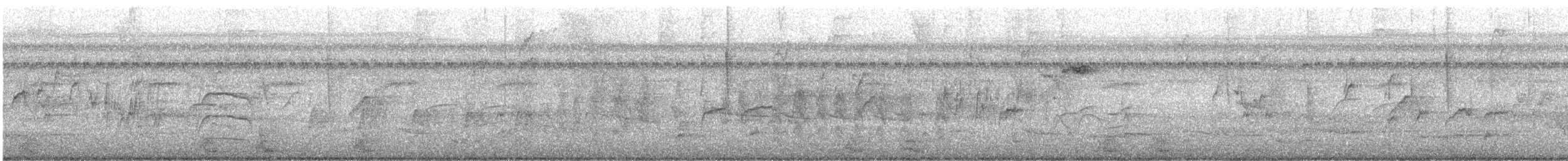 Yellow-bellied Elaenia - ML644472660