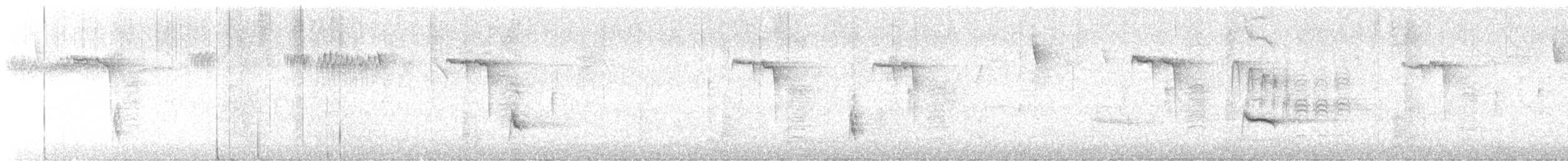 מלכילון אמריקני - ML644472663