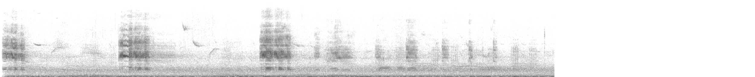 Ánsar Común - ML644472722