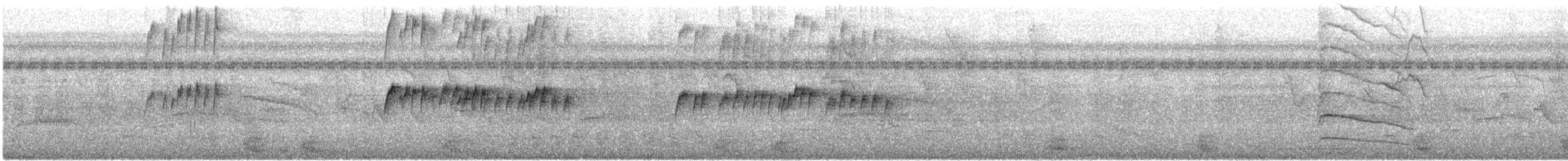 Tropical Kingbird - ML644472736