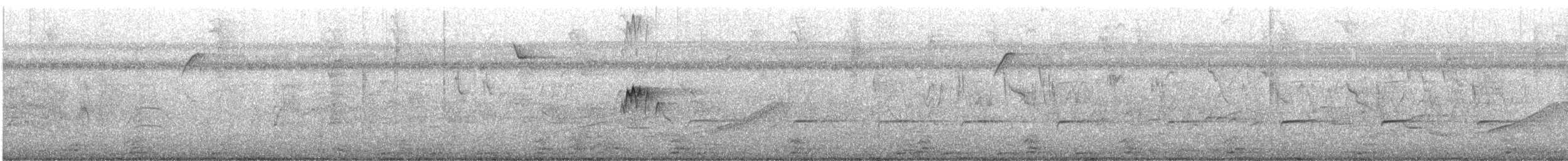 Tropical Kingbird - ML644472737