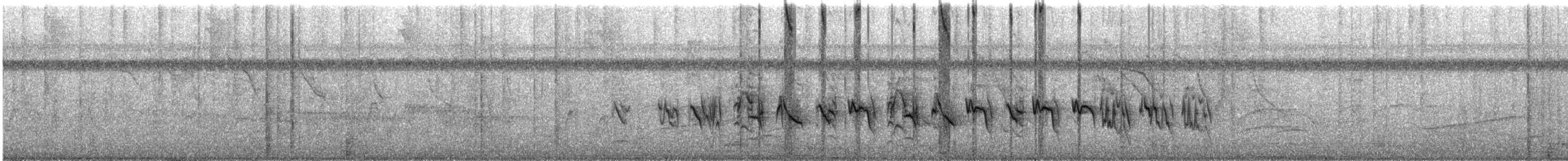 Variable Seedeater - ML644472869