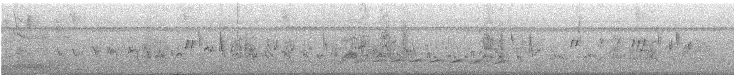 Variable Seedeater - ML644472872