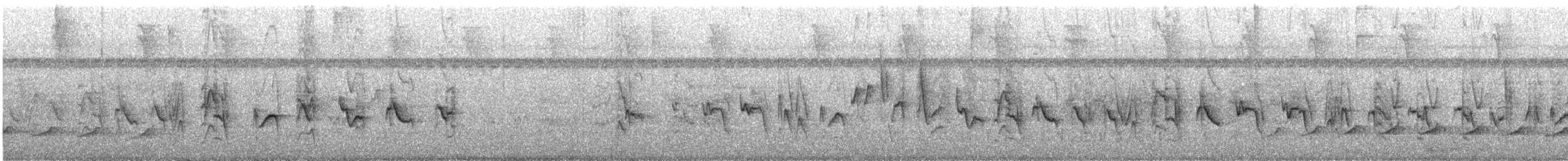 Variable Seedeater - ML644472875