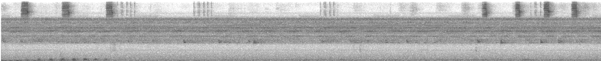 Spectacled Owl - ML644473209