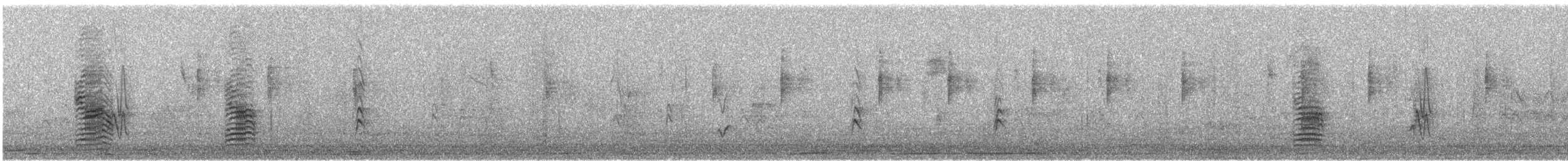 Berglandtrupial - ML644473352