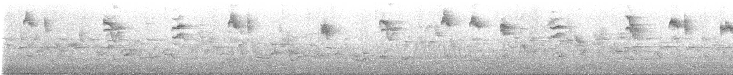 Gobemouche gris - ML644473806