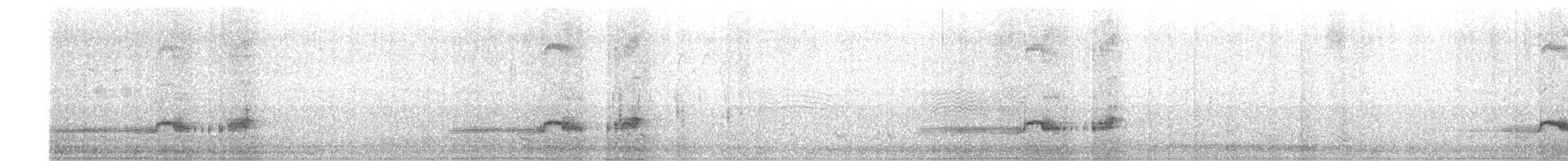 Plumbeous Rail - ML644474280