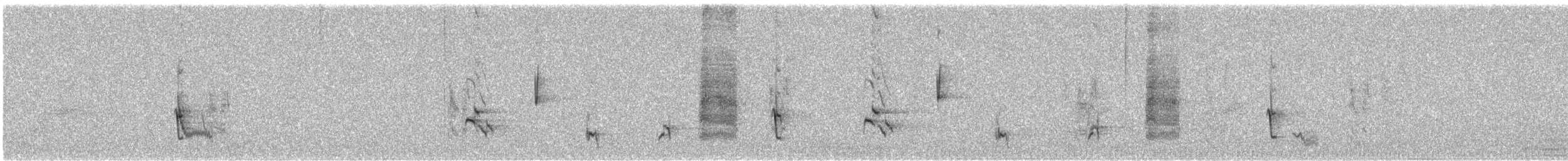 Cuitlacoche Ocelado - ML644474758