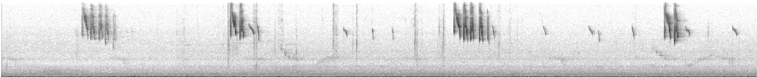 Maluro Soberbio - ML644474787