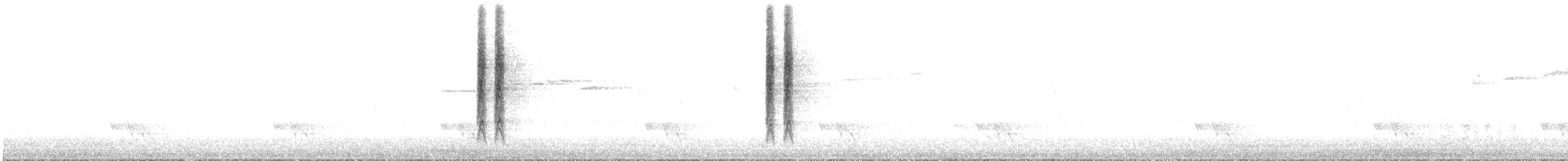 Mielero de Nueva Holanda - ML644474792