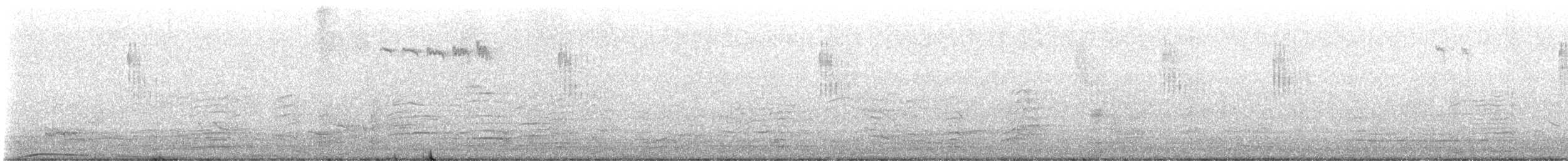 Mito Común - ML644474901