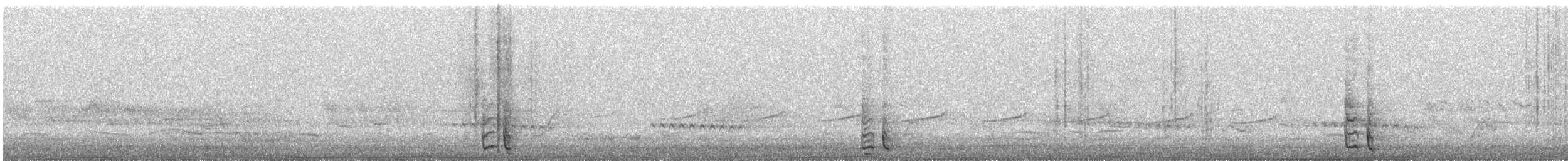 Mielero Ventriamarillo - ML644474931