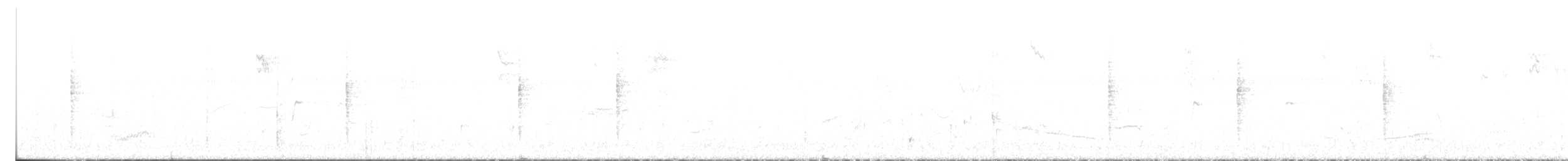 Curruca Capirotada - ML644474957