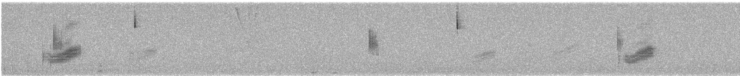 Toquí Moteado - ML644475174