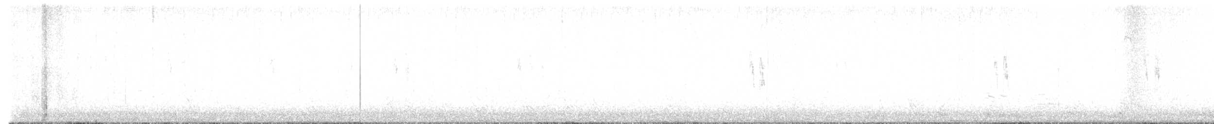 Lavandera Blanca (Enlutada) - ML644475279