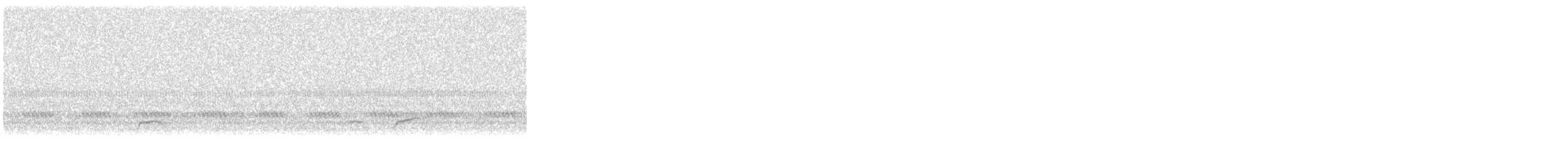 Swainson's Thrush - ML644476808