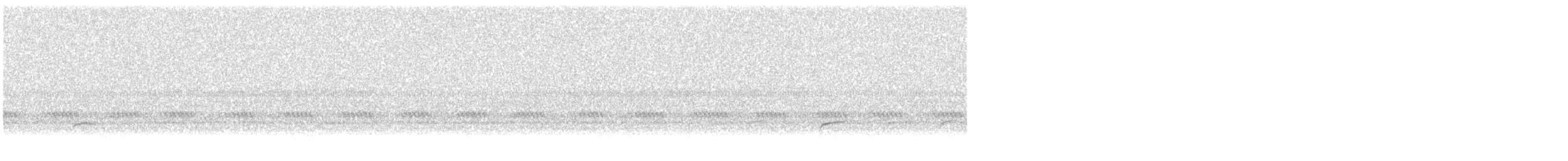 Swainson's Thrush - ML644476809