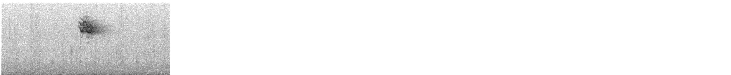 Eurasian Blackbird - ML644477374