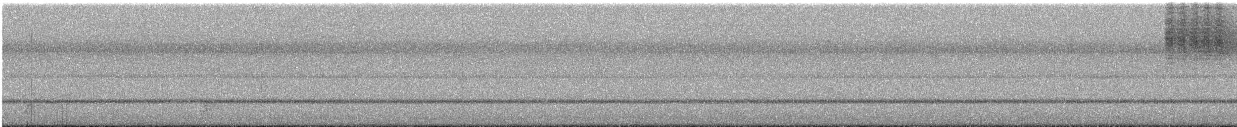 Eastern Whip-poor-will - ML644477498