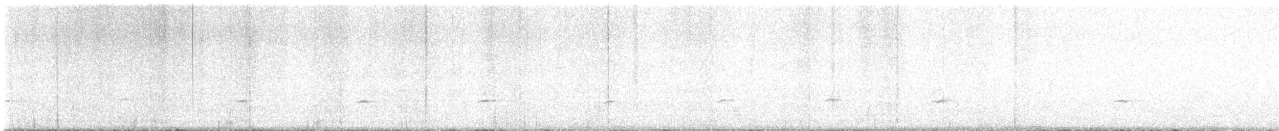 Townsend's Solitaire - ML644477729