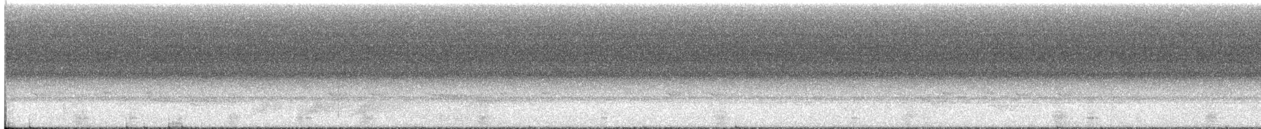 White-necked Rockfowl - ML644477775