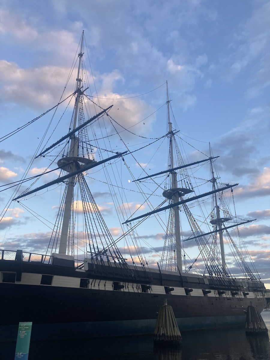 European Starling - ML644478076