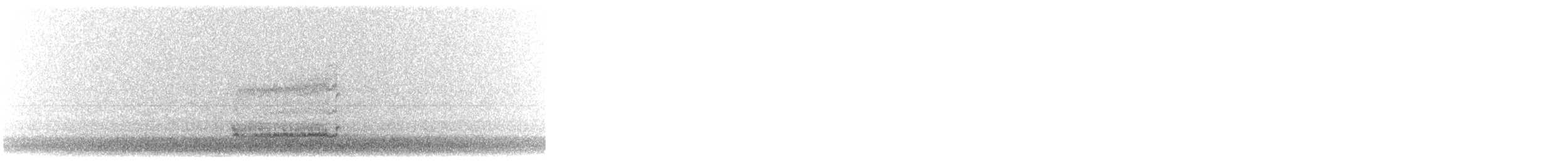 American Barn Owl - ML644478264