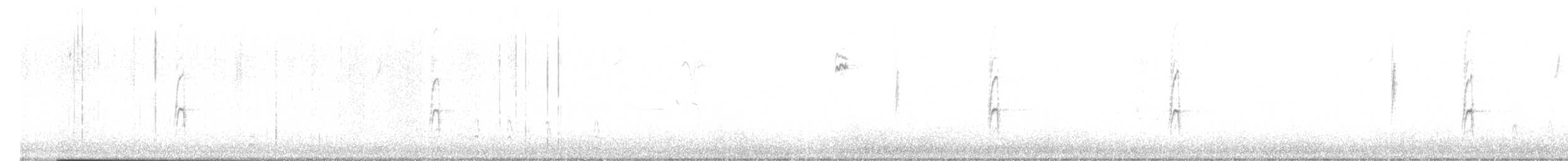 American Robin - ML644478729