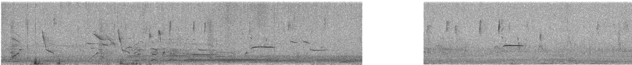 Melodious Blackbird - ML644478827