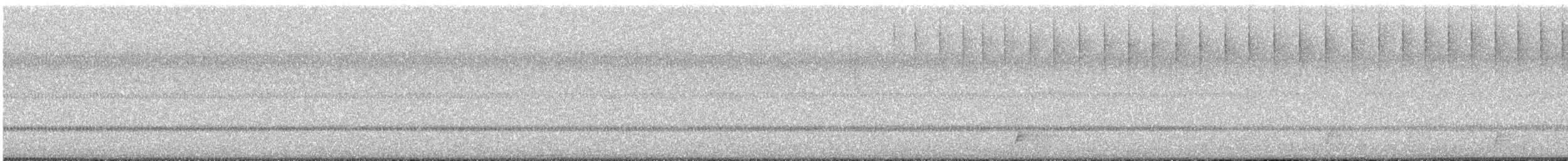 Eastern Whip-poor-will - ML644478984