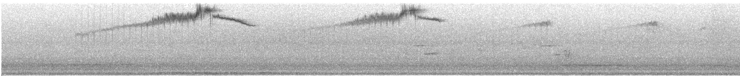 ørkenkolibri - ML644479143