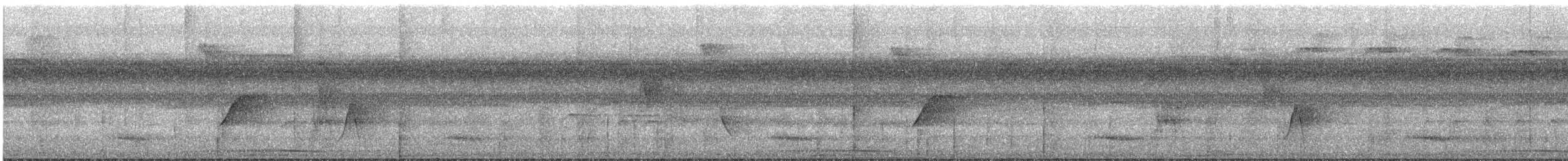 euphonia sp. - ML644479300