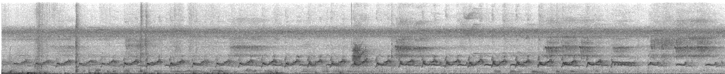 Black-fronted Nunbird - ML644479347