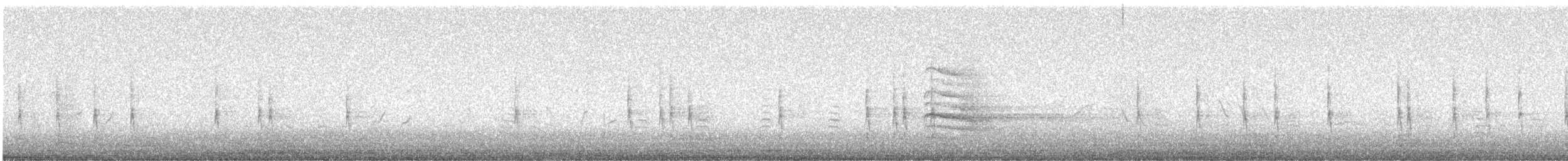 Orman Çıtkuşu - ML644479352