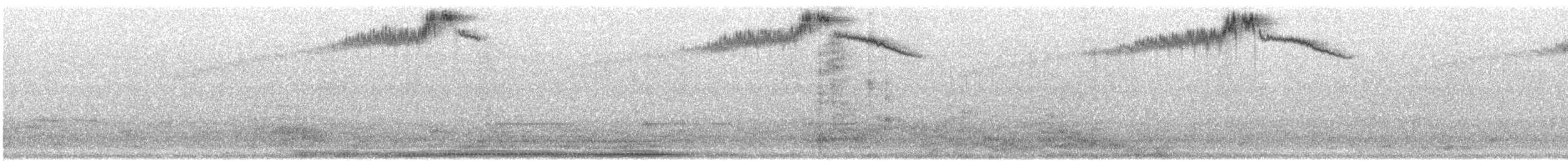 Colibrí de Costa - ML644479444