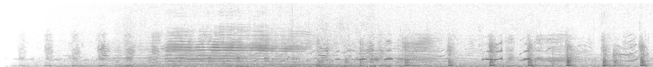 Magellanic Penguin - ML644479454