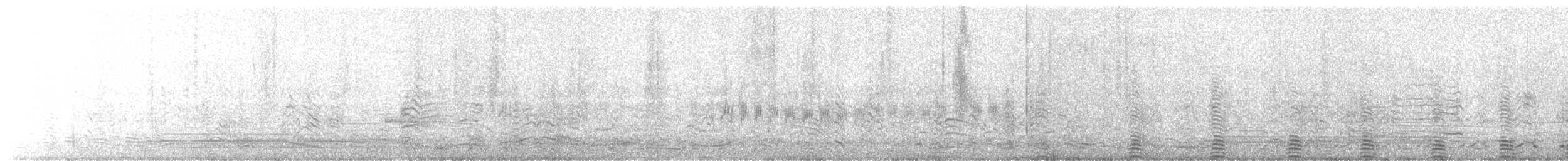 Magellanic Penguin - ML644479478