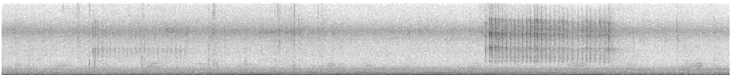 Kuşaklı Yalıçapkını - ML644480003