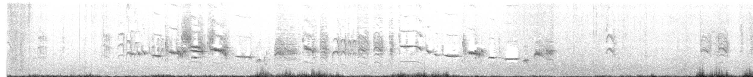 Pipipi - ML644481068