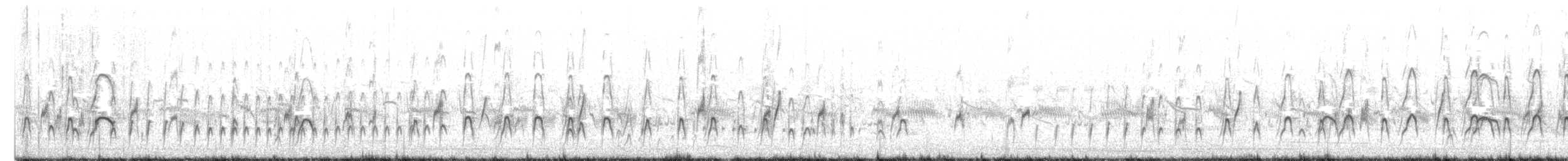 ústřičník jižní - ML644481503